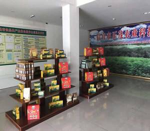正茂“赋益堂”辣木系列产品