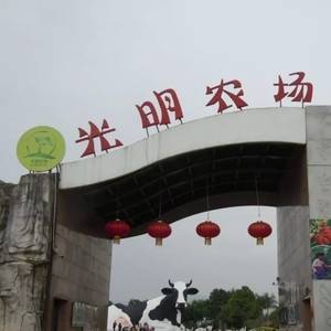 深圳光明新区光明农场