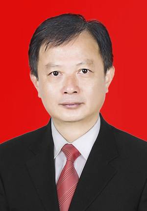 苏振华