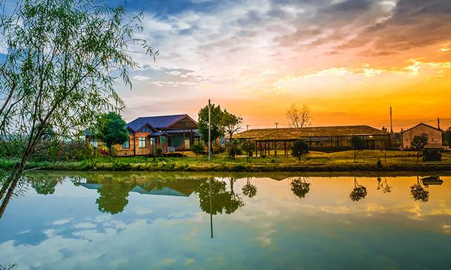 我是26号 宁波天胜四不用农场 正在参加18浙江省 最美田园 网络投票火热开启