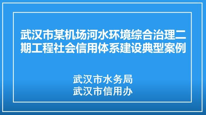 武汉市某机场河水环境综合治理二期工程社会信用体系建设典型案例