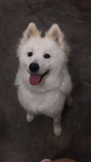 糖糖