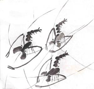 虾（西新华社区 杨玉莲）