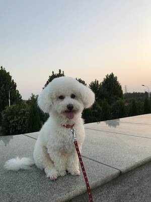 仔宝宝的快乐生活