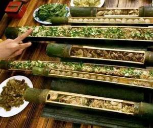广州从化区竹泉农庄
