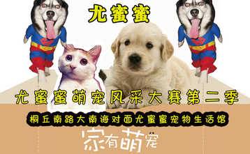 尤蜜蜜萌宠风采大赛第二季