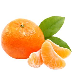 湖南——石门柑橘