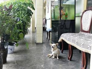 元通镇——屈元会家庭院