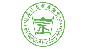 龚飞鸿