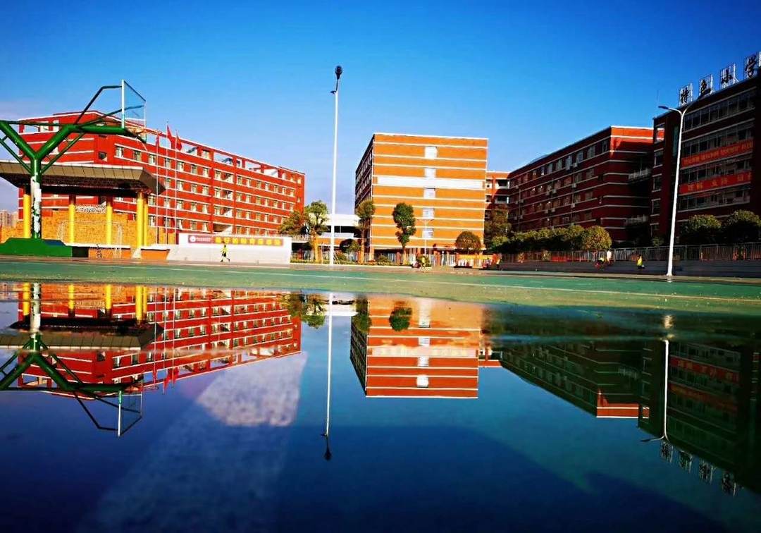 安正学校第三届校园文化艺术节暨2019年六一文艺汇演节目投票