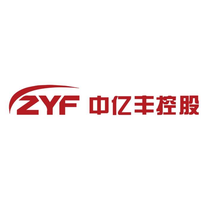 中亿丰控股