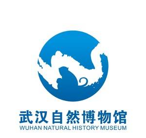 杨艳芬