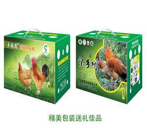 盈富信宜怀乡鸡