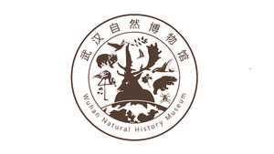 秦圣一